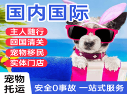丹霞机场空运国际宠物托运 【国